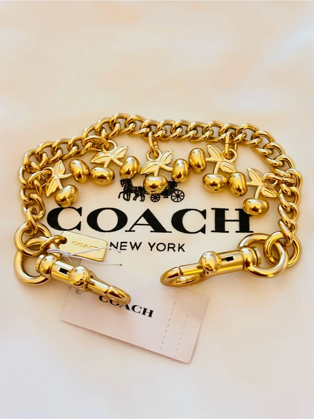 Coach Cherries Swag Bag Charm